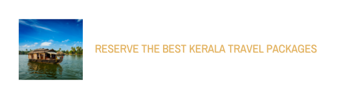 book travel kerala travel packages from ahmedabad
