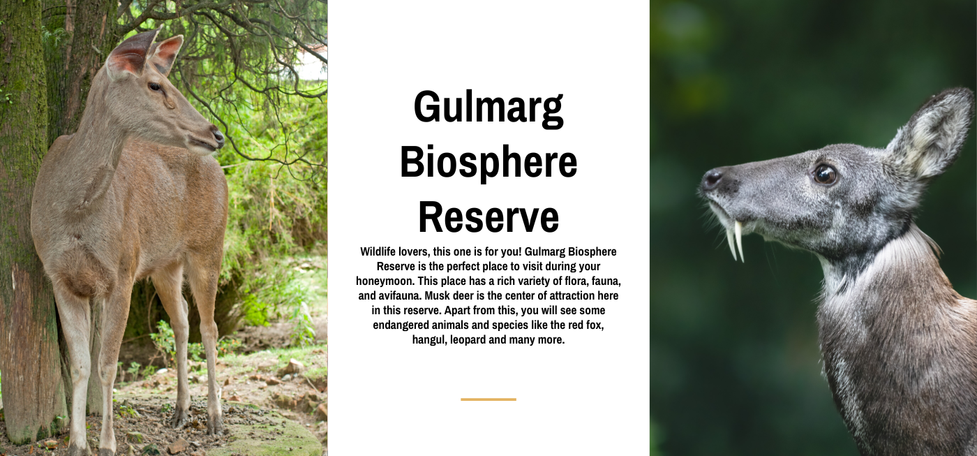 gulmarg biosphere reserve