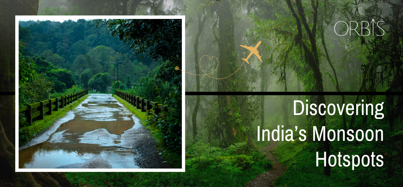 Rain-kissed Serenity - Discovering the serene beauty of India in the Monsoon